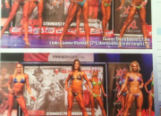 Lieke van Tok - News Papers and Magazines Lieke van Tok - News Papers and Magazines