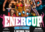 Lieke van Tok - Guestposing Lieke van Tok - Guestposing