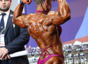 Virginia Sanchez,Ifbb pro athlete - Arnold Europe 2013,1st place